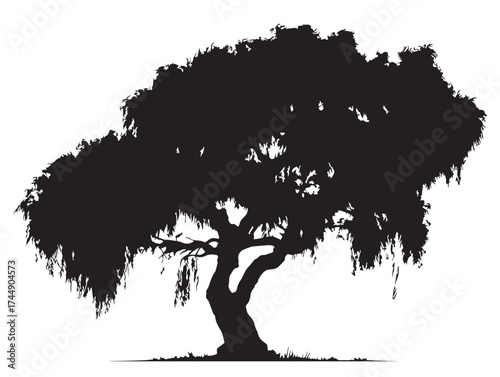 Forest Willow Tree With Drooping Branches And Roots Silhouette