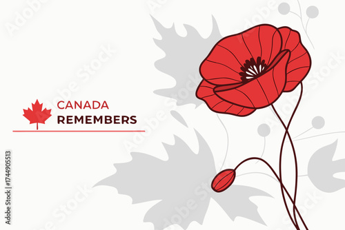 Red poppy flower as a symbol of remembrance for Canada