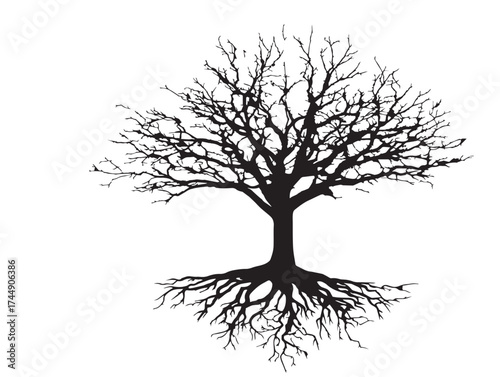 Frosted Tree With Icy Roots And Snowy Branches Black Silhouette