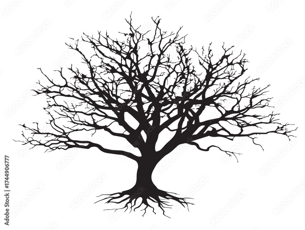 Obraz premium Chilled Frosted Tree Silhouette For Cold Climate Themed Projects