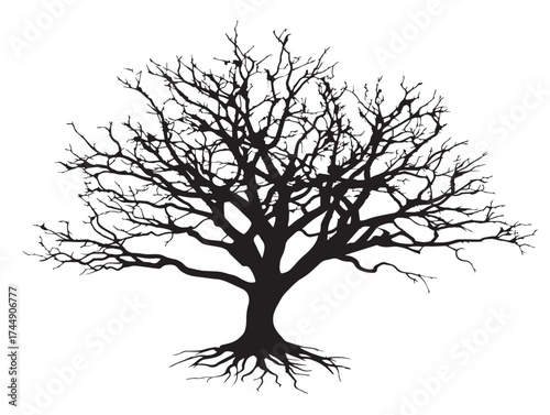 Chilled Frosted Tree Silhouette For Cold Climate Themed Projects