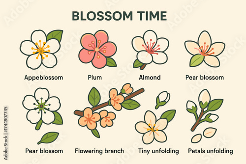 Spring Blossom Icons. Blossom Time set icons in flat vector style apple blossom, plum blossom, almond flower, pear blossom, apricot blossom, flowering branch, tiny buds opening