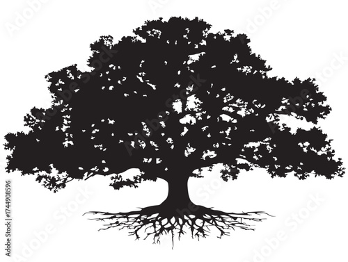 Monumental Oak Tree With Strong Roots Isolated For Epic Designs