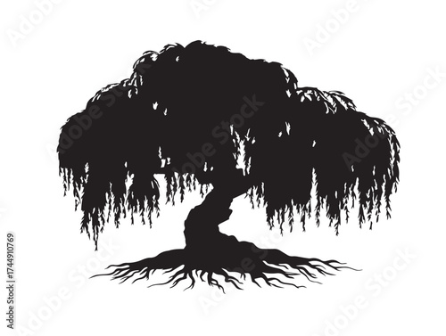 Graceful Haunted Willow Tree With Flowing Roots Silhouette