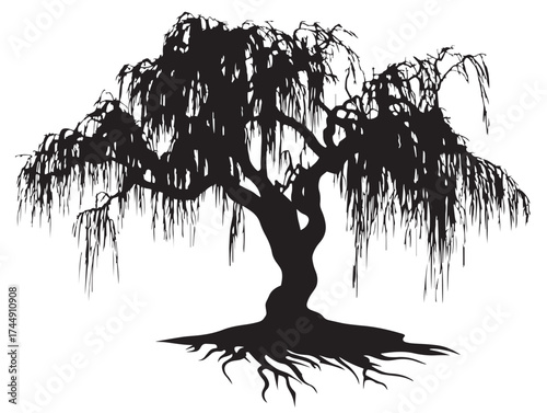 Spooky Haunted Willow Tree With Long Branches