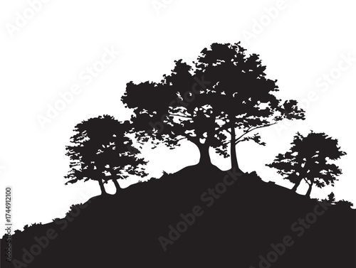Panoramic Hillside With Lush Trees And Roots