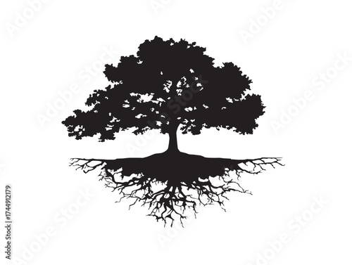 Stately Hilltop Elm Tree With Strong Roots Silhouette