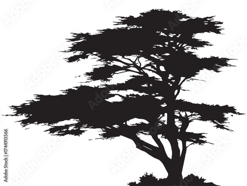 Iconic Isolated Cypress Tree Solid Black Silhouette