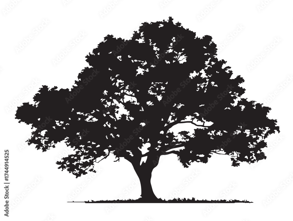 Fototapeta premium Beautiful Lone Elm Tree Vector Illustration Art
