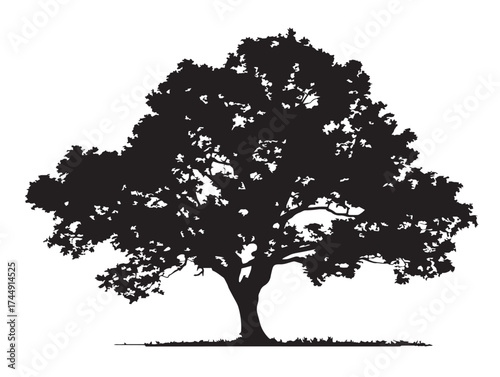 Beautiful Lone Elm Tree Vector Illustration Art