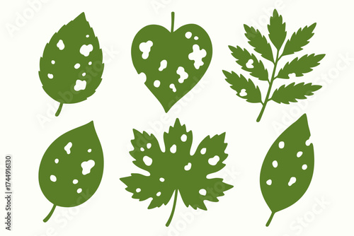 Collection of leaf illustrations with pest damage on white background