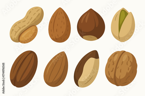Assorted nuts illustration featuring peanuts almonds hazelnuts pistachios walnuts
