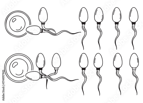 Illustration depicting sperm cells approaching an ovum, symbolizing fertilization and reproduction.