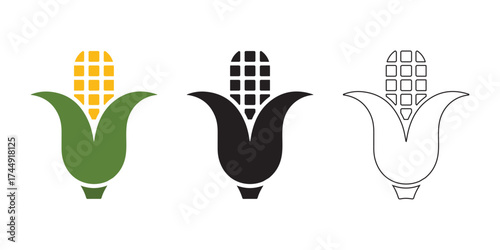 Vector corn design illustration