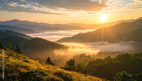 Vivid Golden Sunset Over Rolling Hills and Farmland Landscape in Warm Light, with Glowing Crops Reflecting the Light, Sky Filled with Soft Clouds