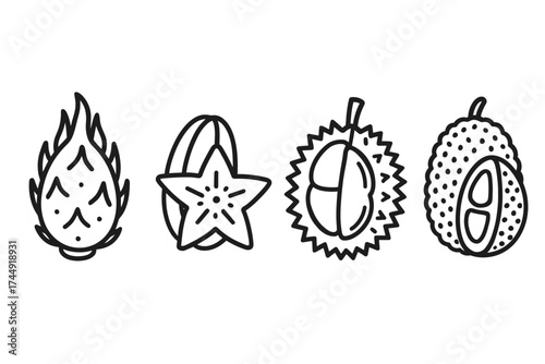 Black and white line drawing of dragon fruit, starfruit, durian, and lychee