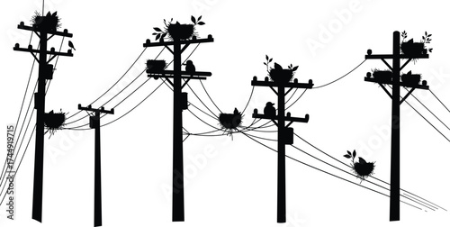 utility, pole, silhouette, power, line, electricity, infrastructure, grid, urban, outdoor, energy, network, city, vector, illustration, public, nature, birds, nest, plants, coexistence