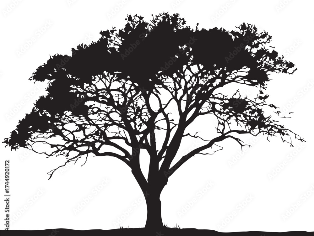 Obraz premium Peaceful Isolated Tree on Plain Black Silhouette