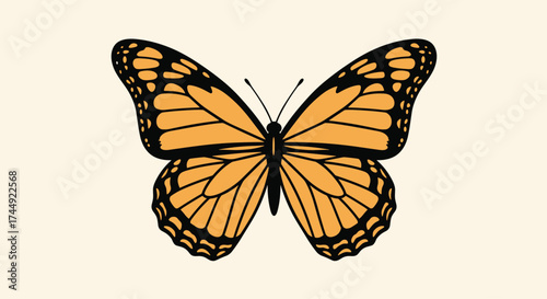 The beautiful orange butterfly has black markings and white spots.