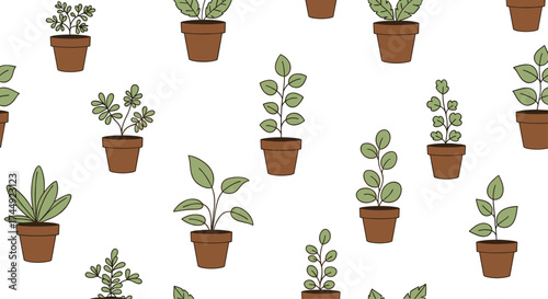 A collection of potted plants for a windowsill garden.