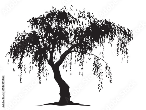 Stunning Willow Tree in Black Silhouette Minimal Vector
