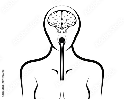 Stylized depiction of a human figure with visible brain and internal connection lines in black and white | editable eps vectors silhouette