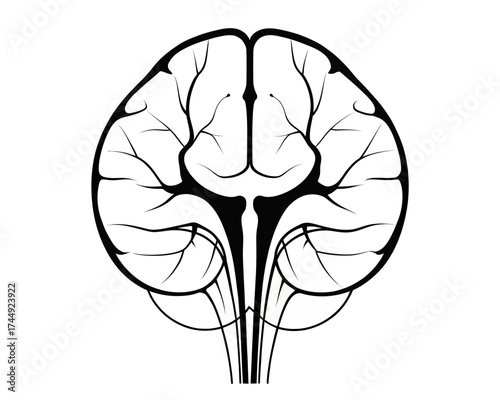 Anatomical illustration of a brain with intricate branching veins and arteries in black and white design | editable eps vectors silhouette