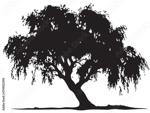 Natural Willow Tree with Long Leaves Silhouette Artwork