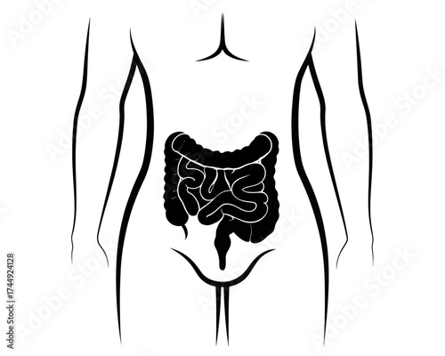 Illustration showing human torso with intestines in black on white background anatomy diagram of body | editable eps vectors silhouette