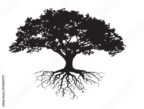 Beautiful Jungle Tree Silhouette with Grounded Root System