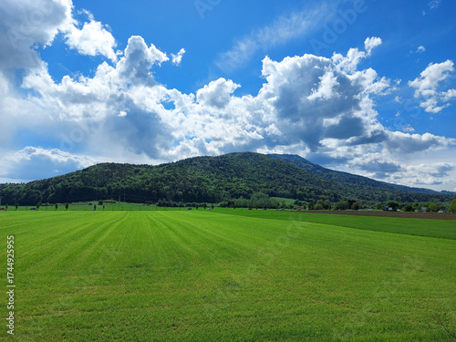 landscape with emerald field and dark green Pohorje mountain under blue sky. Slovenia.