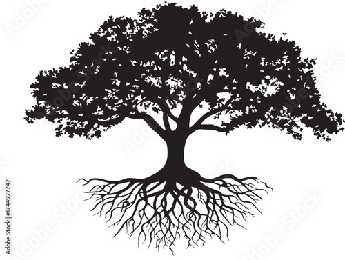 Stunning Old Knotted Tree with Root Silhouette Illustration