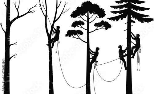Tree climbing silhouette, arborist activity, forest adventure, rope safety, outdoor recreation, nature interaction, teamwork, harness gear, black and white art