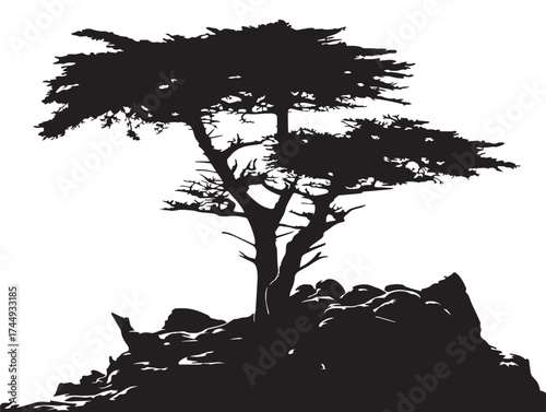 Beautiful Cypress Tree Silhouette Black Minimalist Nature Design
