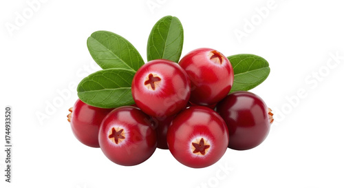 Isolated red cranberries with green leaves, healthy fruit and antioxidant rich food