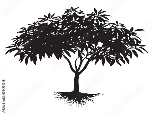 Serene Mango Tree Silhouette with Natural Root Formation