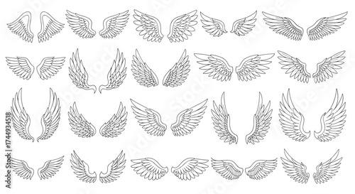 A collection of decorative laurel wreath elements for graphic design.