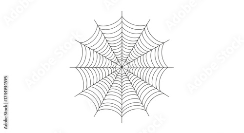 An intricate spider web displays a complex radial and spiral design with a faint horizontal line.