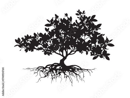 Serene Mangrove Roots Silhouette Representing Resilient Ecosystem
