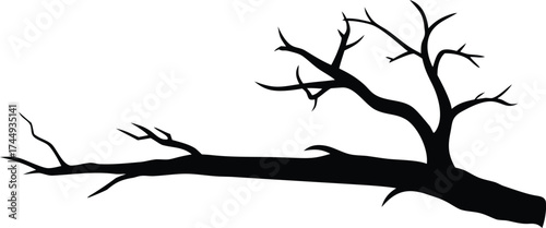  a dry branch of a dead tree against silhouette vector