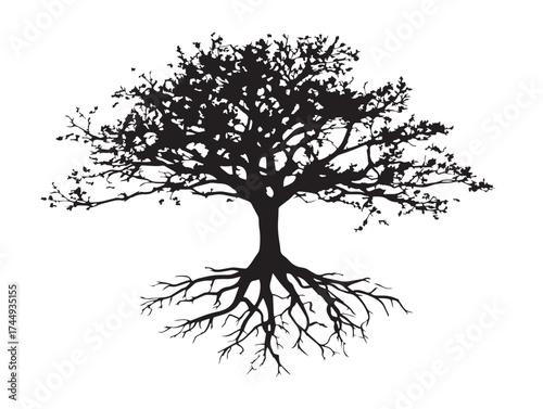 Beautiful Bonsai Tree Silhouette Showing Art of Tranquility