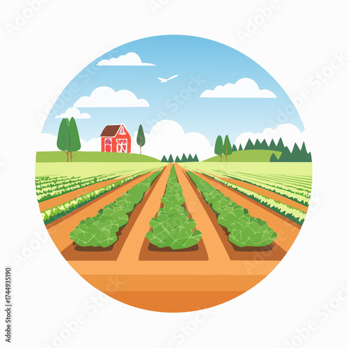 Agricultural concept of a rural farm landscape with a red barn and rows of green crops