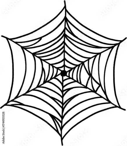 Spider Web Pencil Illustration