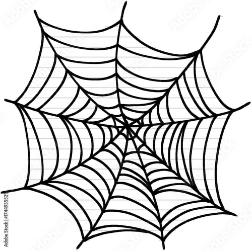 Hand Drawn Spider Web Illustration on Paper