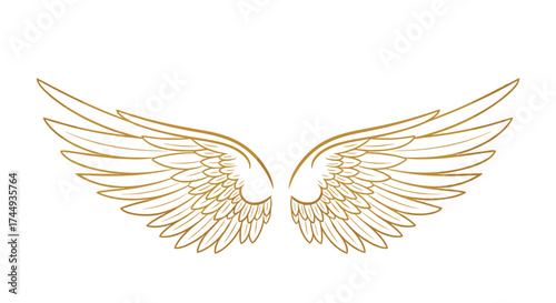 Golden angelic wings design with intricate feather details and elegant curves.
