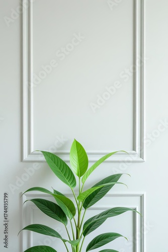 modern living room background