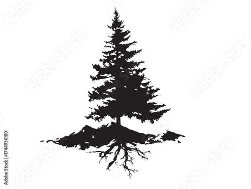 Elegant Fir Tree Silhouette Symbol of Mountain Wilderness