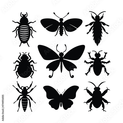 Monarch Butterfly Luna Moth and Honeybee Silhouette Vector