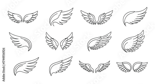 A collection of delicate hand drawn angel wing illustrations in various styles.