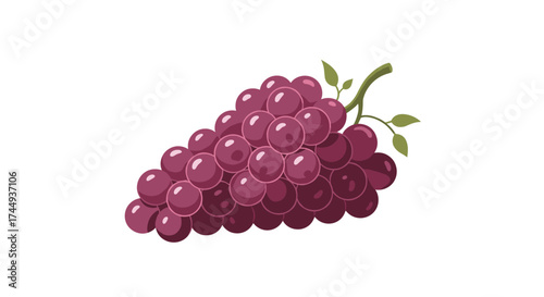A healthy bunch of purple grapes with green leaves on a white background.